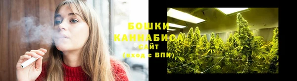 шишки Абинск