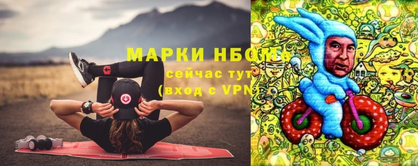 шишки Абинск