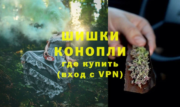шишки Абинск