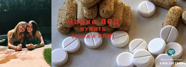 шишки Абинск