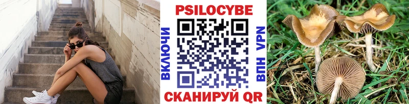 Псилоцибиновые грибы прущие грибы  кракен как войти  Советский  цены наркотик 